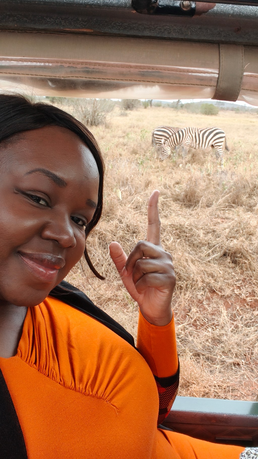 How I Turned My Safari Experience Into a Coloring Book to Sell on Amazon&nbsp;KDP